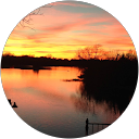 Cliff Cook profile picture